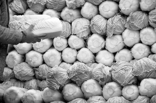 11月3日,在山东聊城光明蔬菜批发市场,菜商在销售大白菜.
