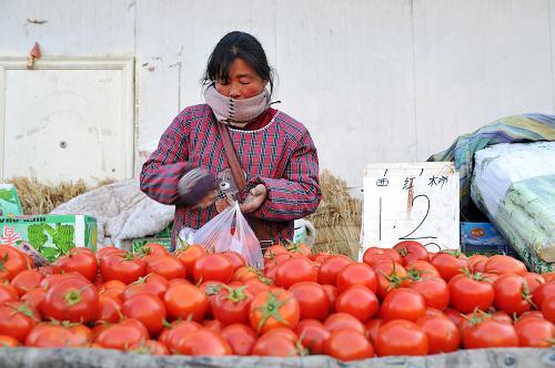  1月29日,在宁夏银川北环蔬菜批发市场内,一位商贩在销售西红柿.