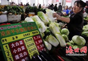 平价蔬菜亮牌销售获海口市民称赞 盼出更多品种