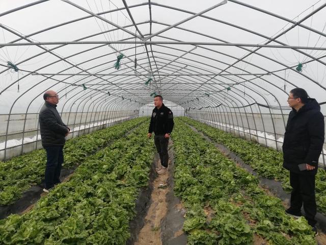 为调查雨雪天气对蔬菜生产的影响,摸清"菜篮子"基地当前生产和销售