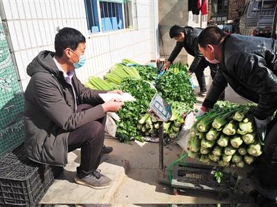 蔬菜"上线"直达市民餐桌 银川菜农销售不愁收入不减