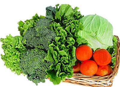 青岛市农产品质量安全监管网 - 青岛南村蔬菜有限公司