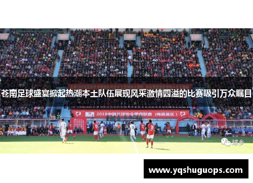 苍南足球盛宴掀起热潮本土队伍展现风采激情四溢的比赛吸引万众瞩目