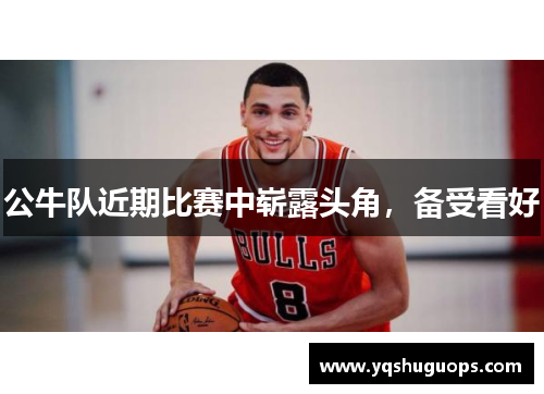 公牛队近期比赛中崭露头角，备受看好